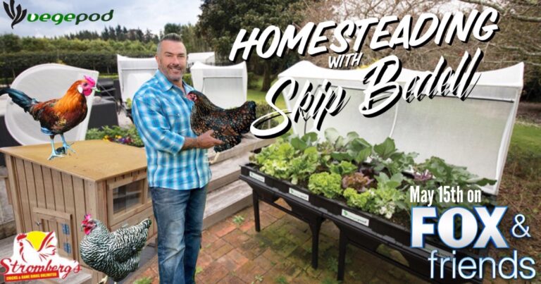 Homesteading