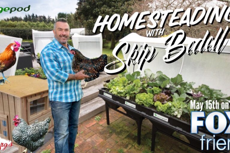 Homesteading