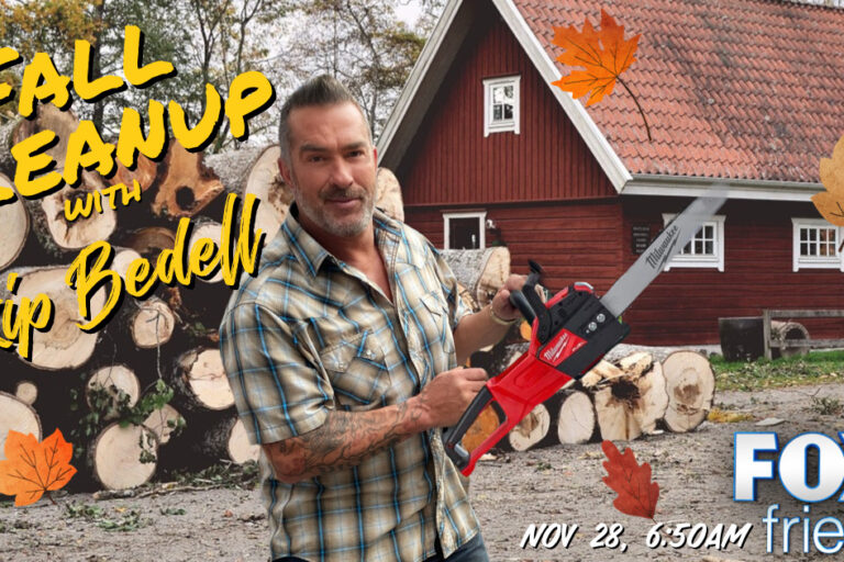 fall cleanup