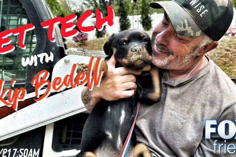 pet tech